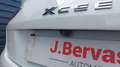 Kia XCeed 1.0l t-gdi 120 ch isg active + GPS White - thumbnail 6