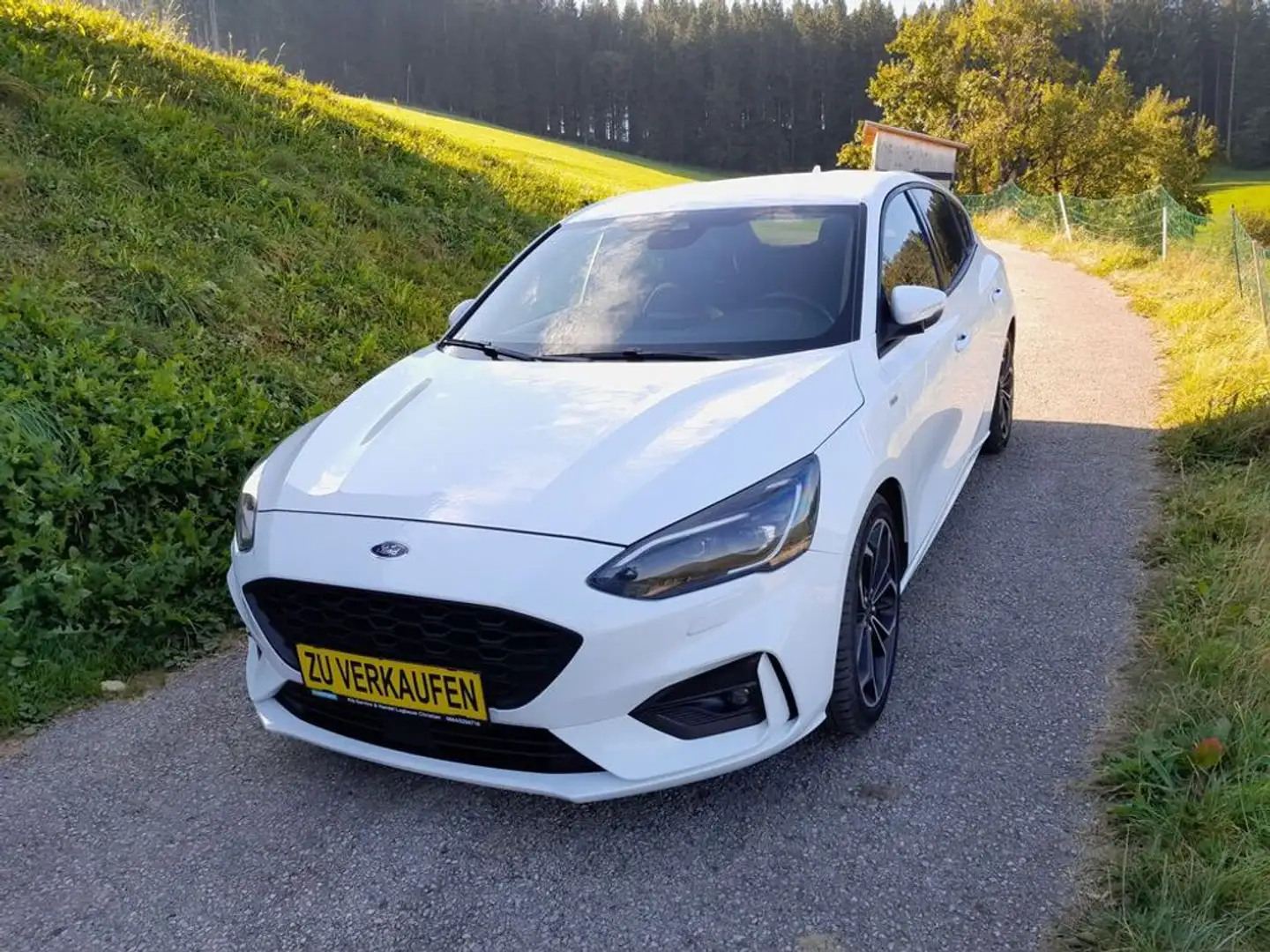 Ford Focus ST-Line Finanzierung ohne Anzahlung möglich Blanc - 1