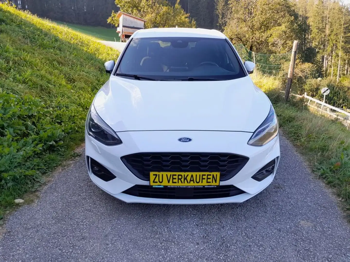 Ford Focus ST-Line Finanzierung ohne Anzahlung möglich Blanc - 2