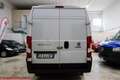 Fiat Ducato 35 LH2 2.2 Mjt3 140CV E6D-temp Bianco - thumbnail 6