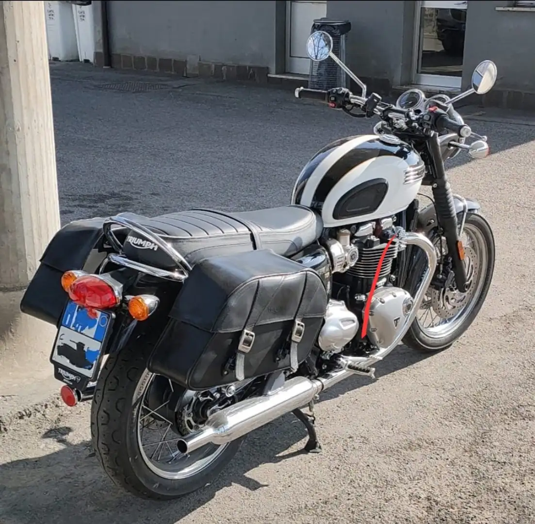 Triumph Bonneville T120 Alb - 2