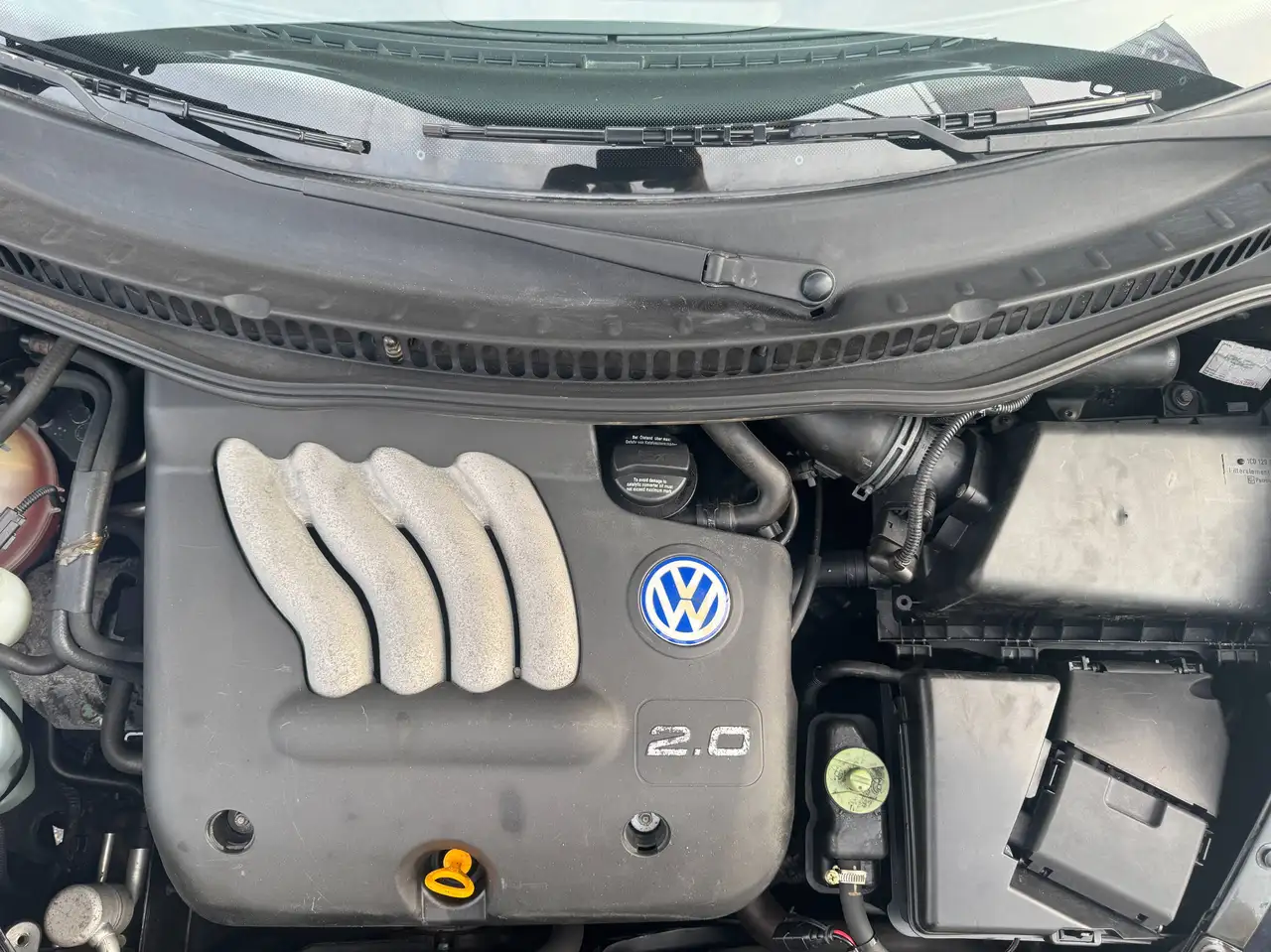 Volkswagen New Beetle 2.0 115 cv, foto 6