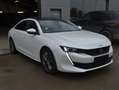 Peugeot 508 ALLURE/PANO/ Blanc - thumbnail 5