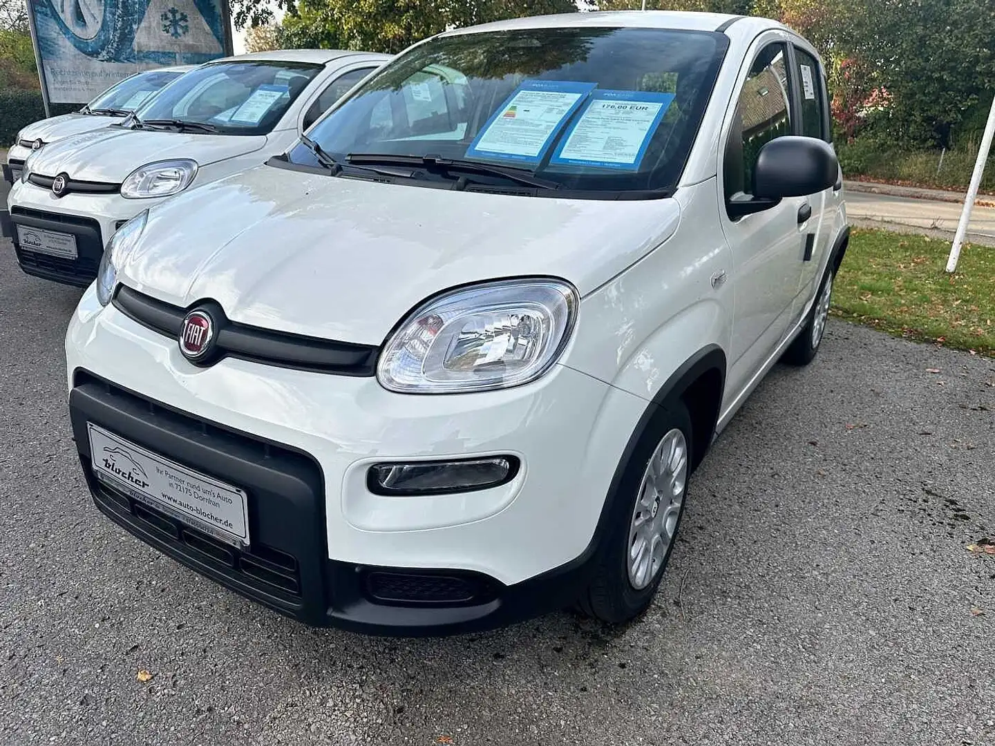 Fiat Panda /Pandina Panda 1.0 GSE Hybrid Білий - 1