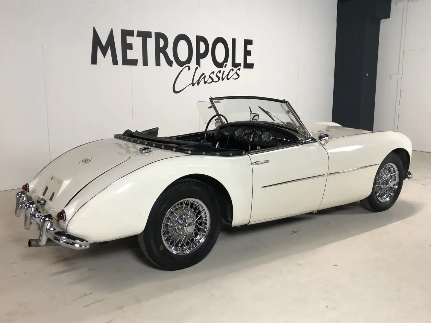 Autres Swallow Doretti M0661 Blanc - 2