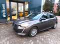 Peugeot 208 208 BlueHDi 100 Active Pack Gris - thumbnail 19