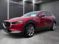 Mazda CX-30 /G122/COM+/ST Rot - thumbnail 1