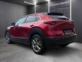 Mazda CX-30 /G122/COM+/ST Rot - thumbnail 4