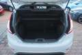 Ford Fiesta ST 1.6 EcoBoost Navi PDC Bluetooth USB Grau - thumbnail 28