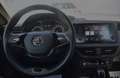 Skoda Scala 1.0 TSI Sport OPF (EURO 6d) Grau - thumbnail 13