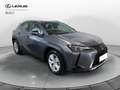 Lexus UX 250h Business 2wd cvt Grigio - thumbnail 3