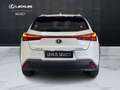 Lexus UX 250h UX 250h 2.0 Executive 2wd cvt my20 Weiß - thumbnail 12