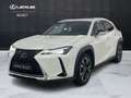Lexus UX 250h UX 250h 2.0 Executive 2wd cvt my20 Weiß - thumbnail 1