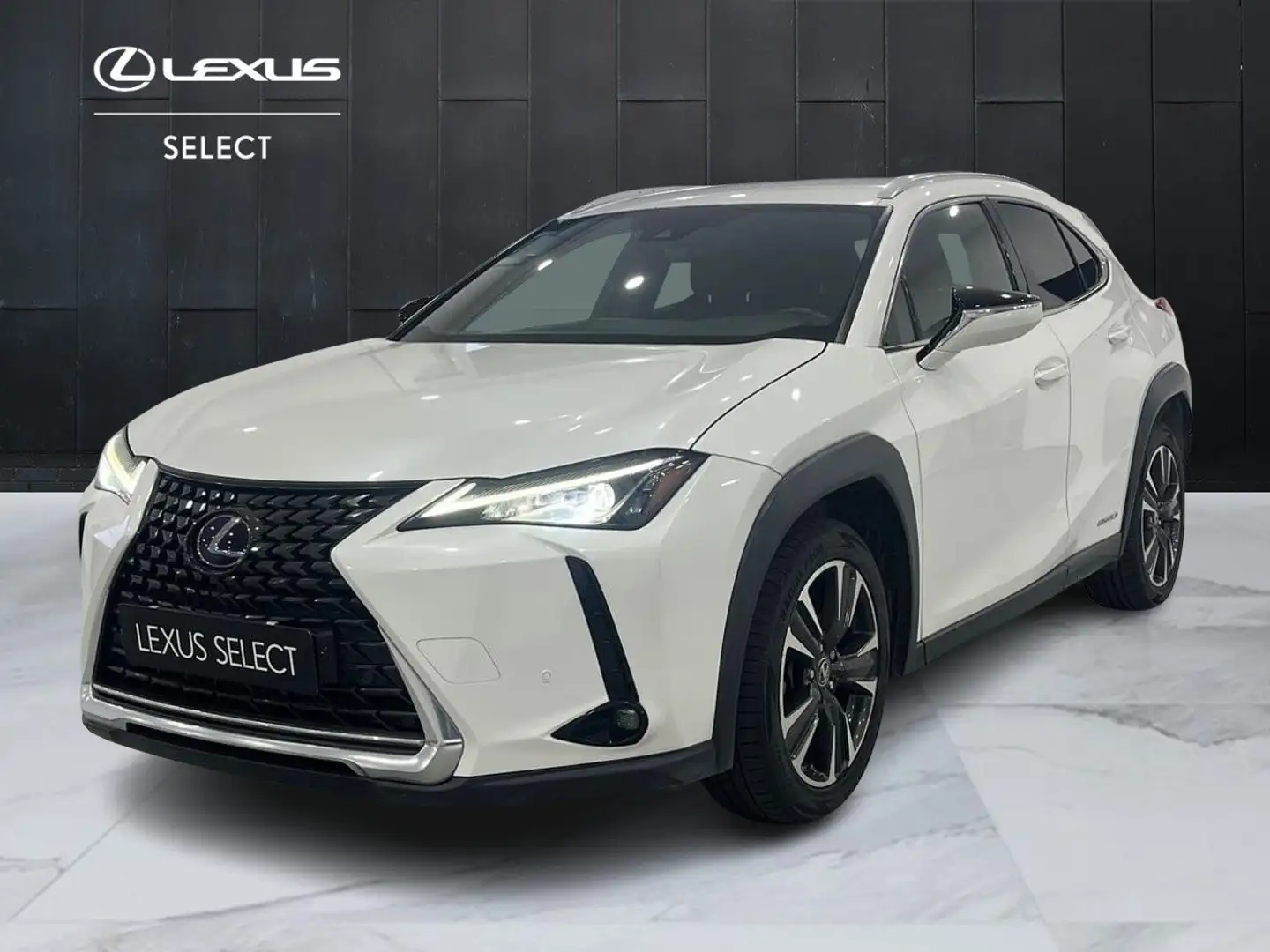 Lexus UX 250h UX 250h 2.0 Executive 2wd cvt my20 Weiß - 1
