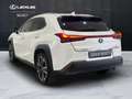 Lexus UX 250h UX 250h 2.0 Executive 2wd cvt my20 Weiß - thumbnail 5