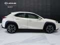 Lexus UX 250h UX 250h 2.0 Executive 2wd cvt my20 Weiß - thumbnail 4