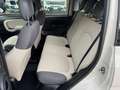 Fiat New Panda 900 TWINAIR EASY NATURAL POWER,UNICO PROP.,CLIMA,R Beige - thumbnail 8