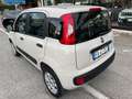 Fiat New Panda 900 TWINAIR EASY NATURAL POWER,UNICO PROP.,CLIMA,R Beige - thumbnail 5