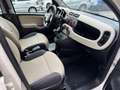 Fiat New Panda 900 TWINAIR EASY NATURAL POWER,UNICO PROP.,CLIMA,R Beige - thumbnail 15