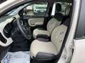 Fiat New Panda 900 TWINAIR EASY NATURAL POWER,UNICO PROP.,CLIMA,R Beige - thumbnail 9