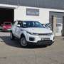 Land Rover Range Rover Evoque 2.0L eD4 Diesel 150CV 4x2 Pure Bianco - thumbnail 1