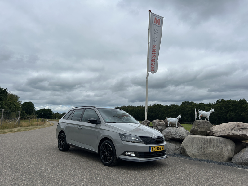 Skoda Fabia Combi 1.2 TSI MONTE CARLO CRUISE AIRCO LMV — photo 6