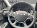 Dacia Sandero III 1.0 TCe 110 Stepway Extreme *LED*LM Wit - thumbnail 11