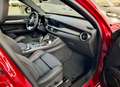 Alfa Romeo Stelvio 2.2 Tributo Italiano Q4 210cv auto Rojo - thumbnail 5