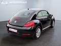 Volkswagen Beetle Lim. Basis/1.HAND/SHZ/PDC/TOP ZUSTAND/ Schwarz - thumbnail 5