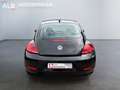 Volkswagen Beetle Lim. Basis/1.HAND/SHZ/PDC/TOP ZUSTAND/ Schwarz - thumbnail 4
