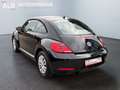 Volkswagen Beetle Lim. Basis/1.HAND/SHZ/PDC/TOP ZUSTAND/ Schwarz - thumbnail 3