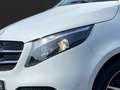 Mercedes-Benz V 220 V 220 d 4M EDITION Lang *NIGHT*AHK*KAMERA*SHZ* Weiß - thumbnail 5
