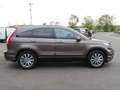 Honda CR-V Elegance 2.0 i-VTEC Allrad Klimaautomatik Bruin - thumbnail 3