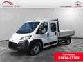 Toyota Proace Max Pritsche Doppelk. 2.2 35 L3 Heavy BlueH Blanco - thumbnail 1