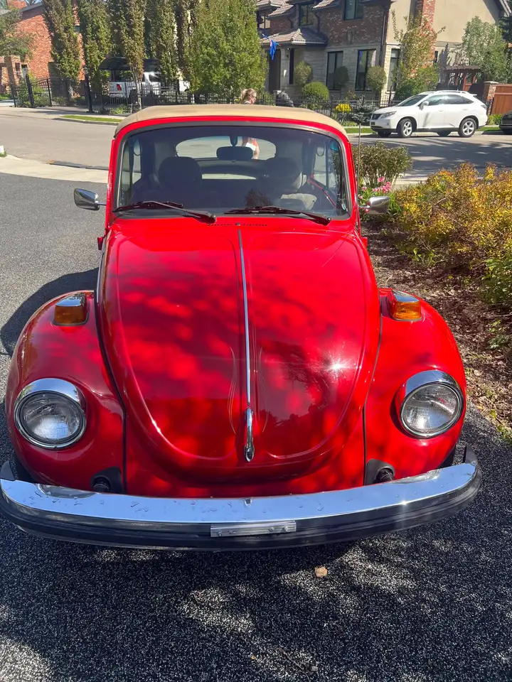 Volkswagen Beetle fotografie Volkswagen Beetle