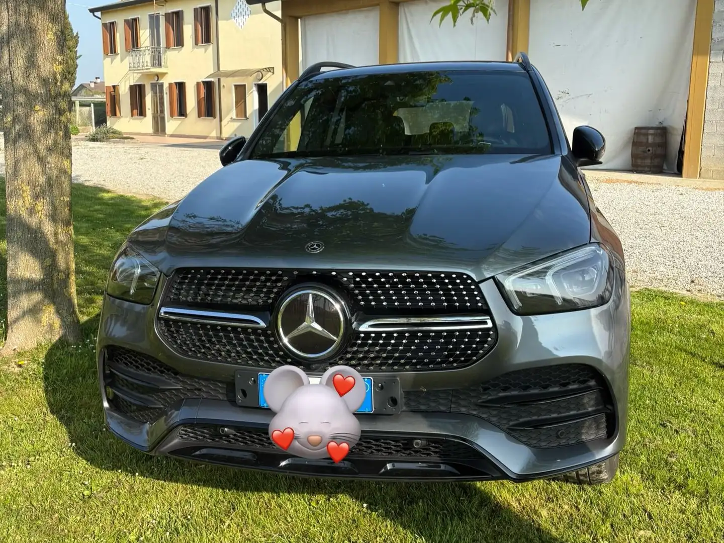 Mercedes-Benz GLE 450 GLE 450 mhev (eq-boost) Premium Plus 4matic auto - 1