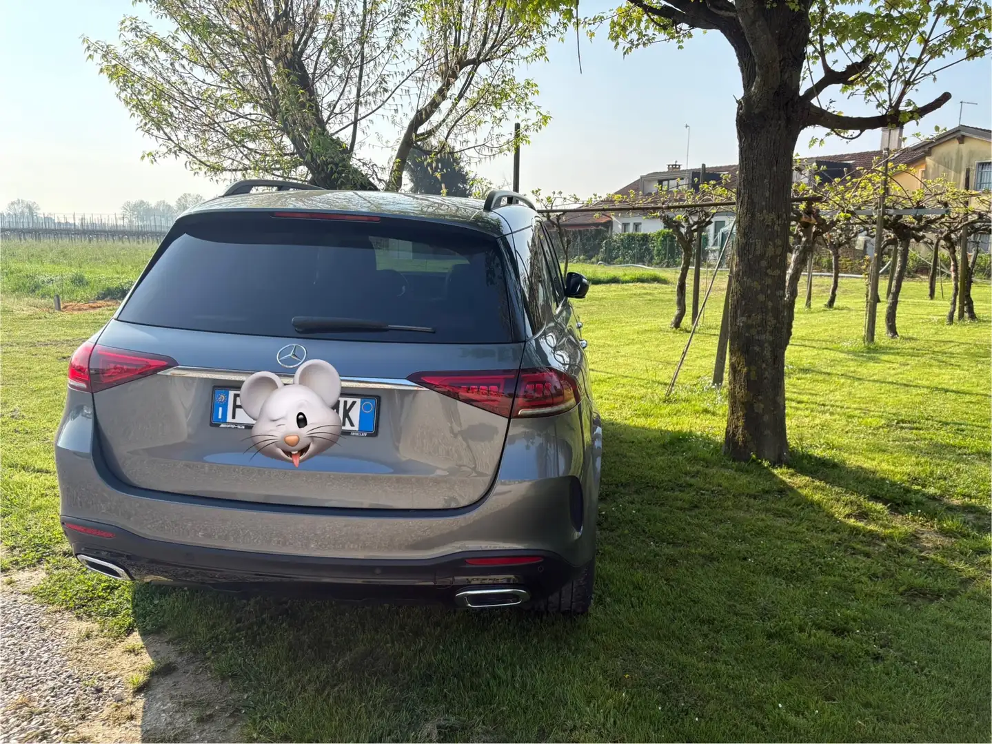 Mercedes-Benz GLE 450 GLE 450 mhev (eq-boost) Premium Plus 4matic auto - 2