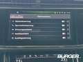 Audi Q8 50 TDI quattro S Line Laserlicht Pano AHK Air Susp Schwarz - thumbnail 20