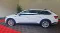 Skoda Sonstige 2.0 TDI 150 SCR DSG7 SCOUT Weiß - thumbnail 8