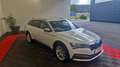 Skoda Sonstige 2.0 TDI 150 SCR DSG7 SCOUT Weiß - thumbnail 3