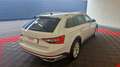 Skoda Sonstige 2.0 TDI 150 SCR DSG7 SCOUT Weiß - thumbnail 5