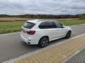 BMW X5 xDrive30d 258PS M-Paket - thumbnail 4
