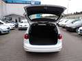 Volkswagen Golf Sportsvan 1.6 TDI Comfortline BMT Weiß - thumbnail 9