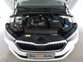 Skoda Scala Škoda SCALA Ambition TSI, 2022 Weiß - thumbnail 12
