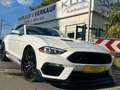 Ford Mustang GT 5.0 Optik Cabrio Weiß - thumbnail 1