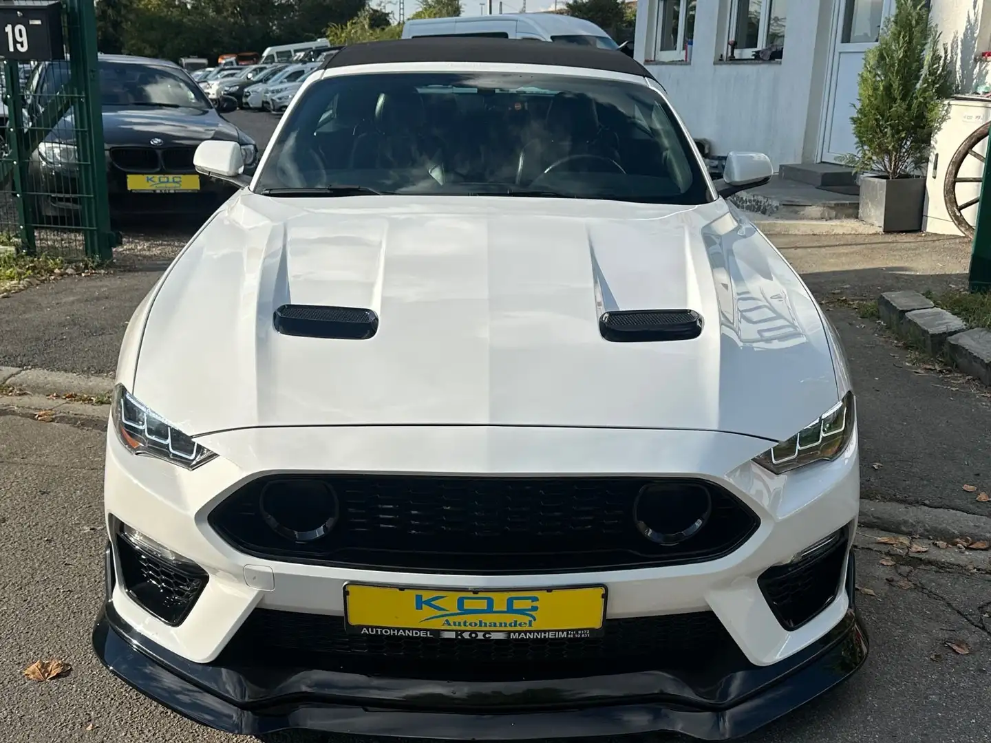 Ford Mustang GT 5.0 Optik Cabrio Weiß - 2