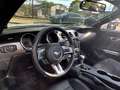 Ford Mustang GT 5.0 Optik Cabrio Weiß - thumbnail 12