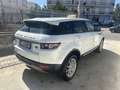 Land Rover Range Rover Evoque 5p 2.2 td4 Launch edition 150cv - thumbnail 6