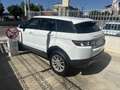 Land Rover Range Rover Evoque 5p 2.2 td4 Launch edition 150cv - thumbnail 5