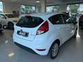 Ford Fiesta 1.5 TDCi 75CV 5p. 120.000 Km Blanco - thumbnail 5